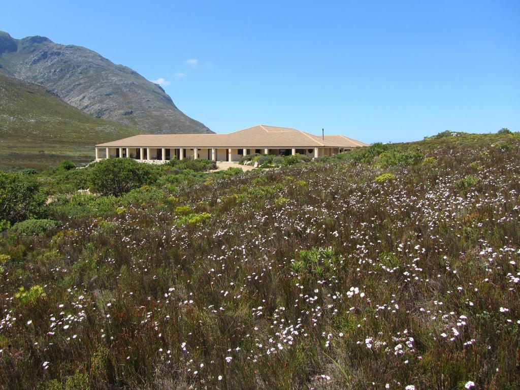 Kapensis Guesthouse Pringle Bay Bagian luar foto