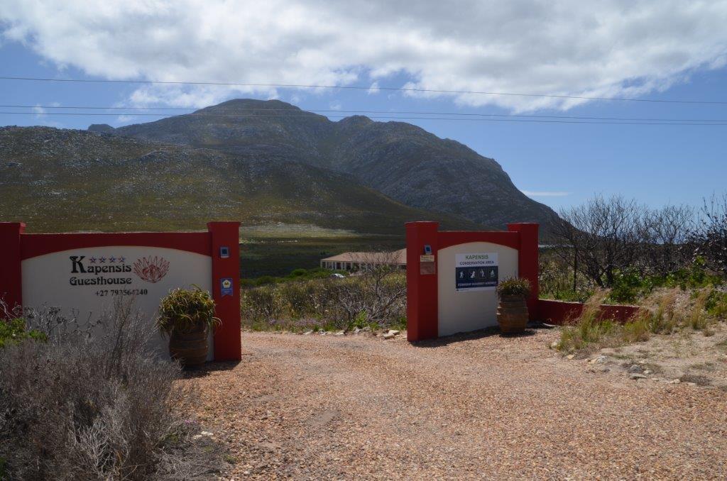 Kapensis Guesthouse Pringle Bay Bagian luar foto